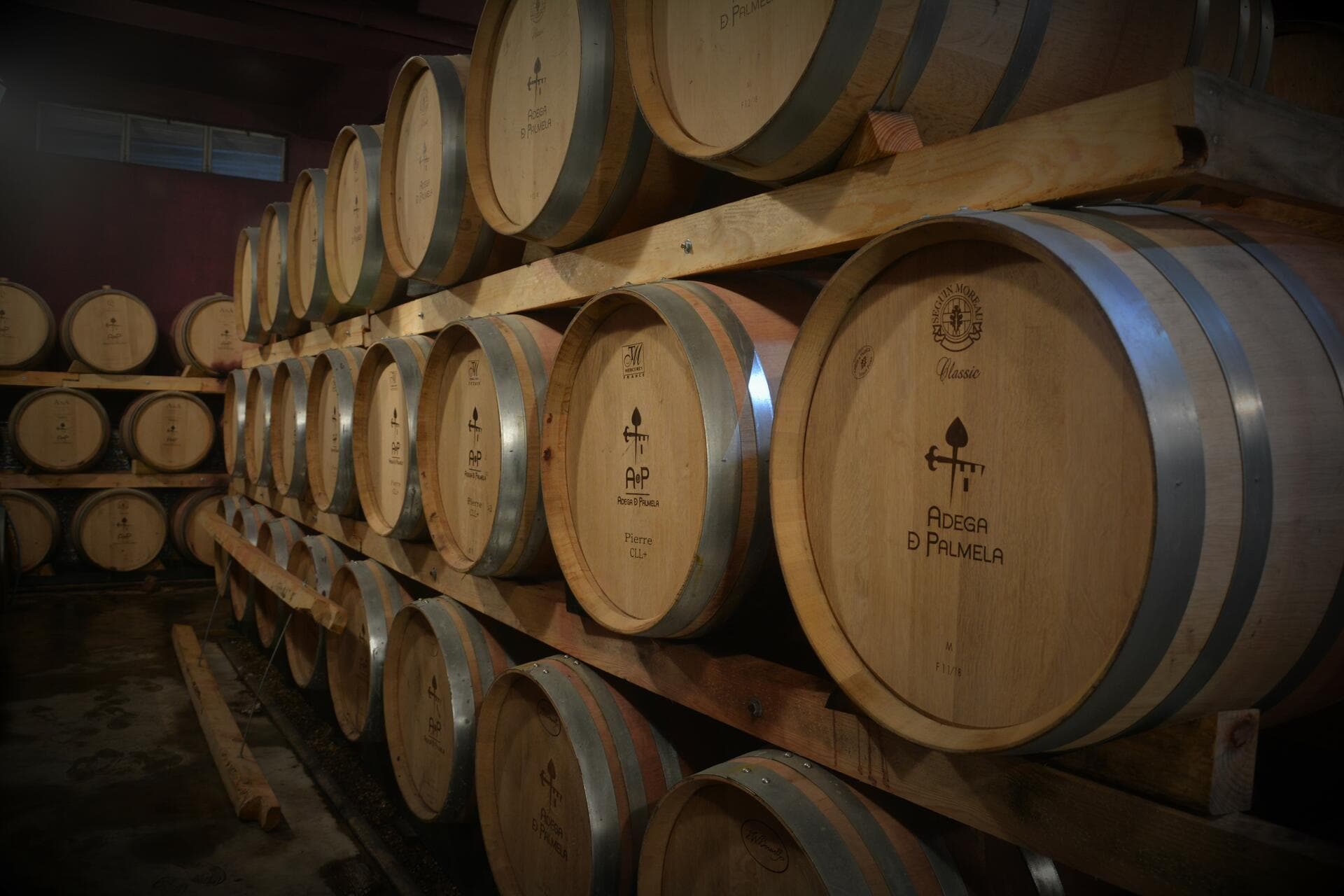 Wine Club Background